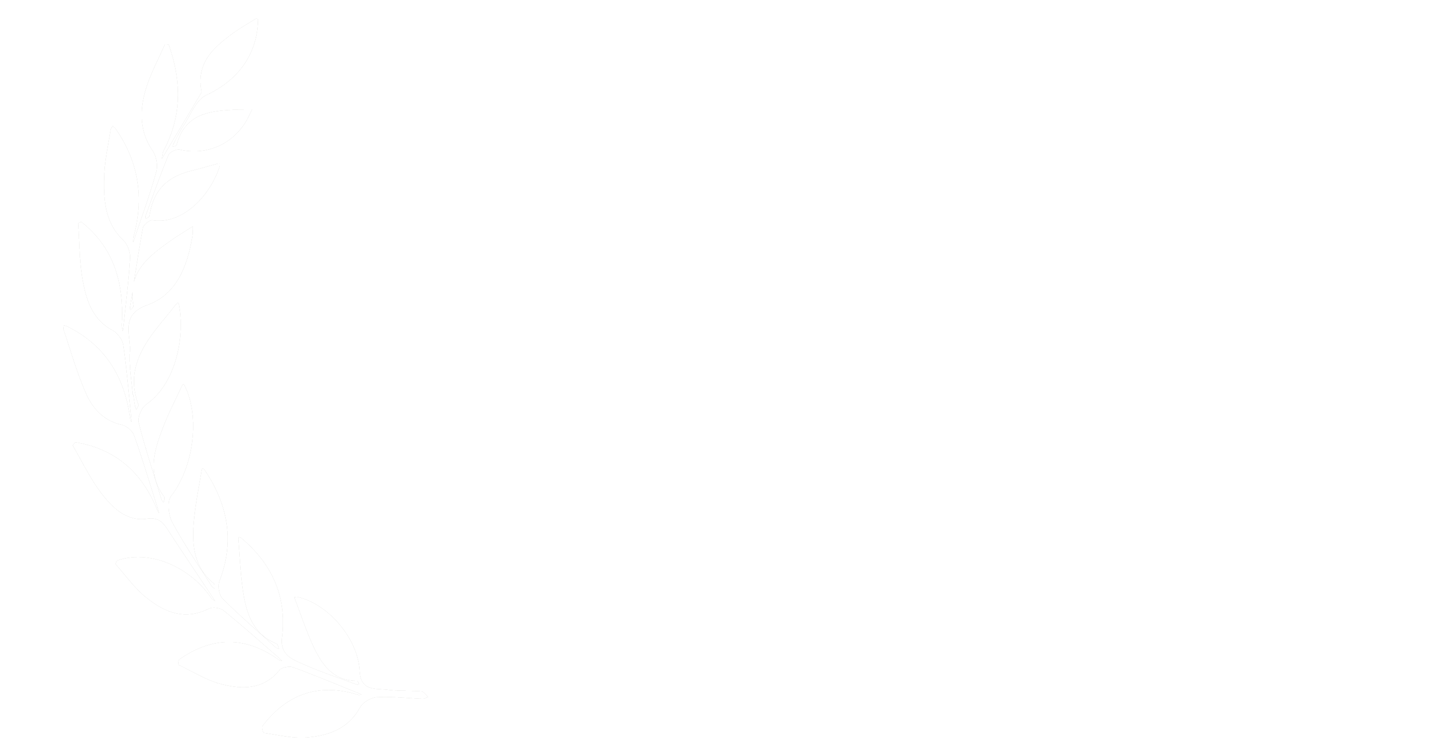 Leo Awards Winner 2025